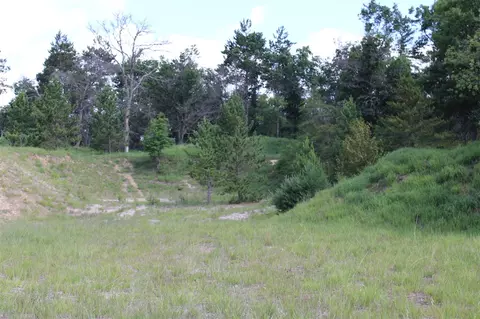 Other - 3320 Mapes Rd, Mio, MI 48647 photo 24 of 31
