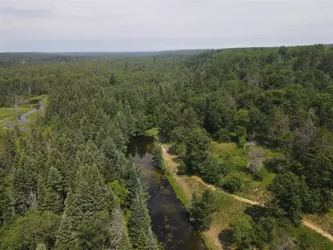 View/Area - 3320 Mapes Rd, Mio, MI 48647 photo 19 of 22