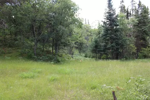 Other - 3320 Mapes Rd, Mio, MI 48647 photo 25 of 31