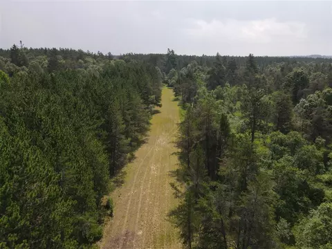 View/Area - 3320 Mapes Rd, Mio, MI 48647 photo 17 of 22