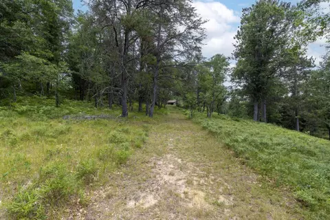 Exterior - 3320 Mapes Rd, Mio, MI 48647 photo 11 of 27