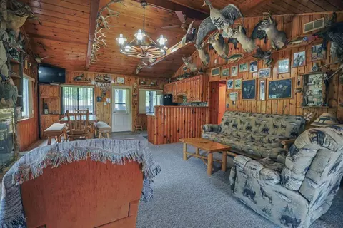 Living - 3320 Mapes Rd, Mio, MI 48647 photo 3 of 5