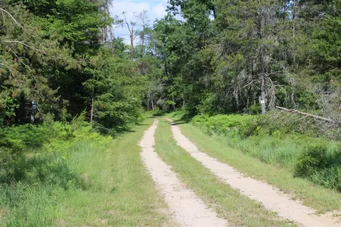 Other - 3320 Mapes Rd, Mio, MI 48647 photo 19 of 31