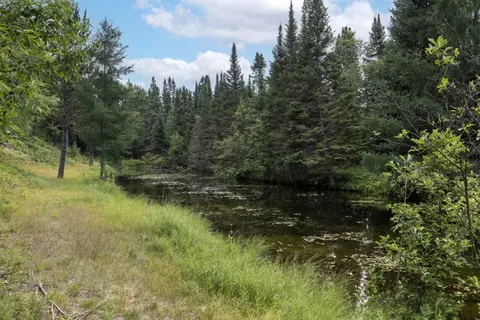 View/Area - 3320 Mapes Rd, Mio, MI 48647 photo 1 of 22