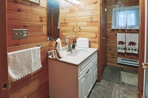 Bath - 3320 Mapes Rd, Mio, MI 48647 photo 3 of 4
