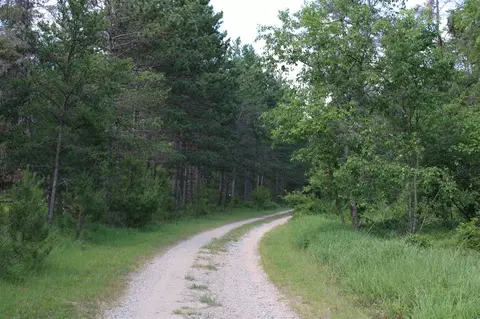 Other - 3320 Mapes Rd, Mio, MI 48647 photo 20 of 31