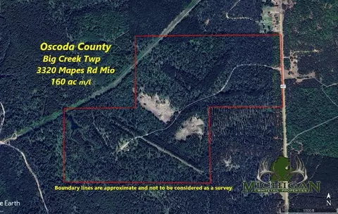 Other - 3320 Mapes Rd, Mio, MI 48647 photo 1 of 31