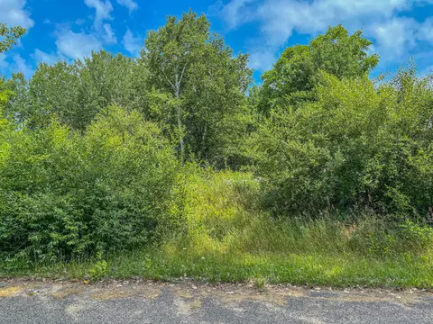 11580 Tanglewood Trl S #24, Canadian Lakes, MI 49346