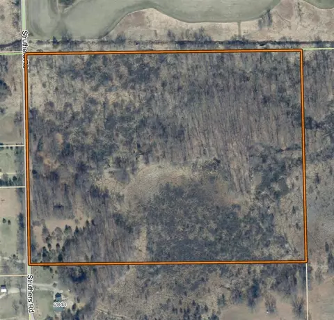 0 Struthers, Grass Lake, MI 49240