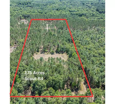 7 75 Acres Scout, Mears, MI 49436