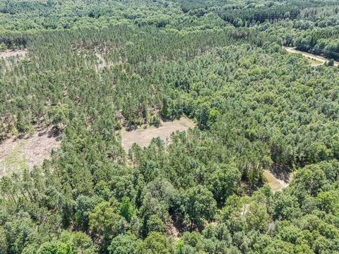 7 75 Acres Scout, Mears, MI 49436 photo 4