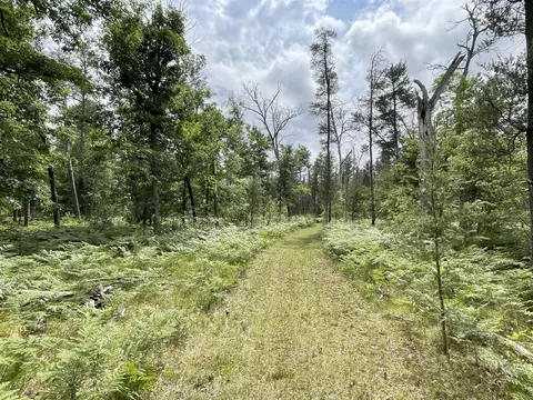 00 W 10 Mile #PARCEL G-1, Irons, MI 49644