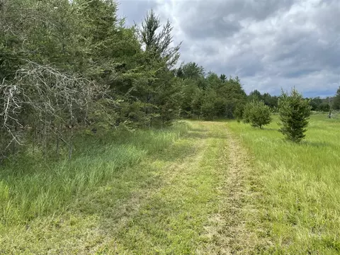 00 E 10 Mile #PARCEL G-2, Irons, MI 49644 photo 13