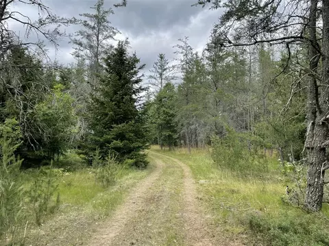 00 E 10 Mile #PARCEL G-2, Irons, MI 49644 photo 2