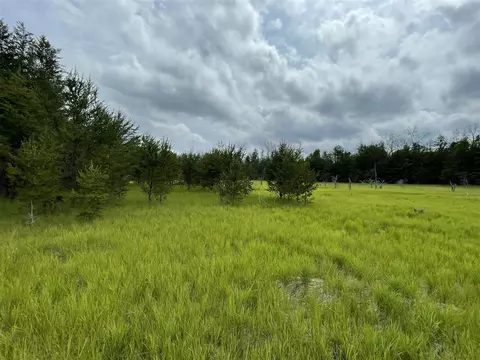 00 E 10 Mile #PARCEL G-2, Irons, MI 49644 photo 15