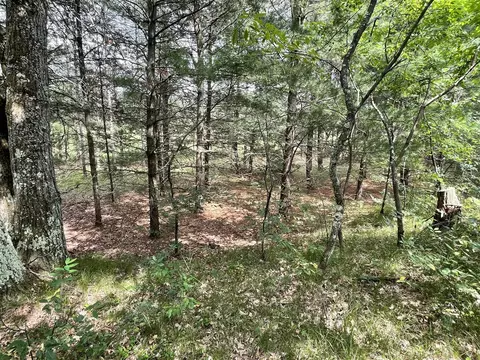 00 E 10 Mile #PARCEL G-2, Irons, MI 49644 photo 11