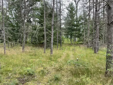 00 E 10 Mile #PARCEL G-2, Irons, MI 49644 photo 6