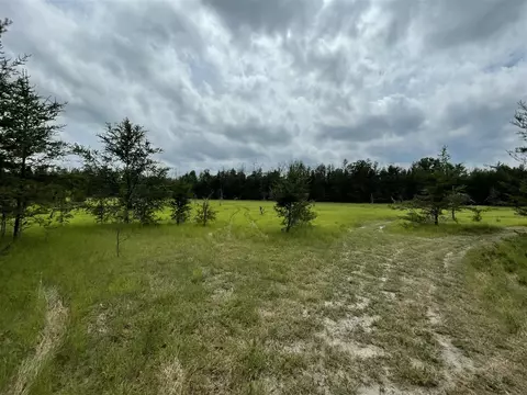 00 E 10 Mile #PARCEL G-2, Irons, MI 49644 photo 9