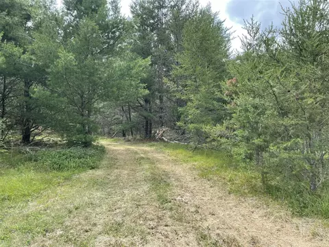 00 E 10 Mile #PARCEL G-2, Irons, MI 49644 photo 4