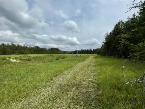 00 E 10 Mile #PARCEL G-2, Irons, MI 49644 photo 12