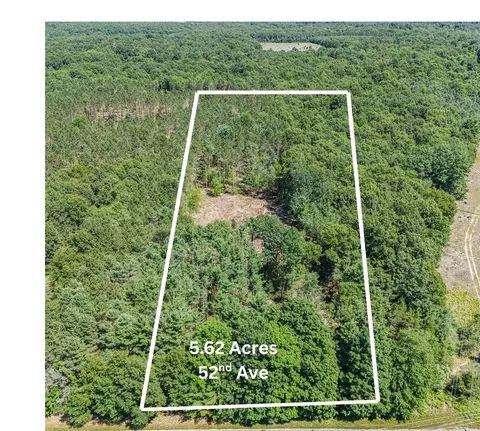 Parcel E 52nd, Mears, MI 49436