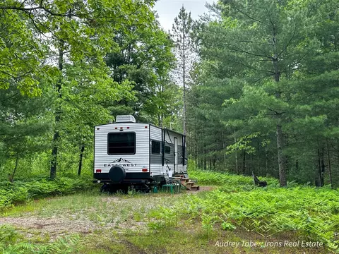 00 Millerton, Branch, MI 49402 photo 6