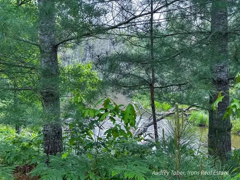 00 Millerton, Branch, MI 49402 photo 8