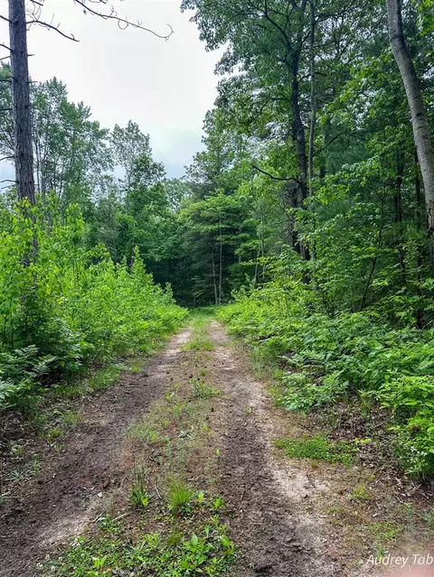 00 Millerton, Branch, MI 49402 photo 2