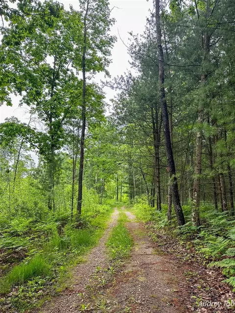 00 Millerton, Branch, MI 49402 photo 3