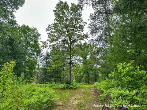 00 Millerton, Branch, MI 49402 photo 5
