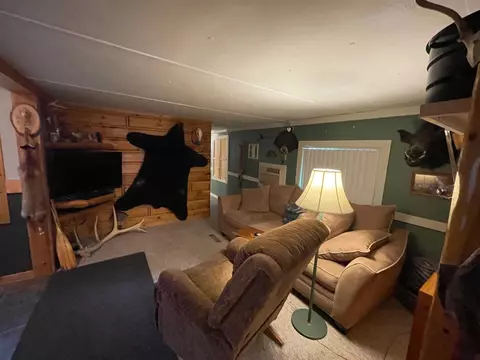 2225 Leisura, Baldwin, MI 49304 photo 4