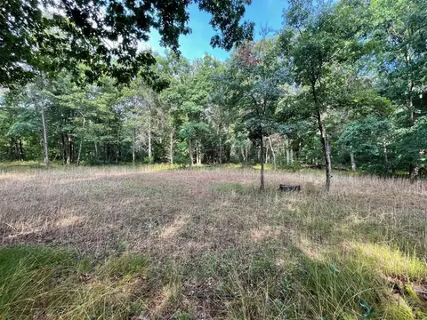2225 Leisura, Baldwin, MI 49304 photo 21
