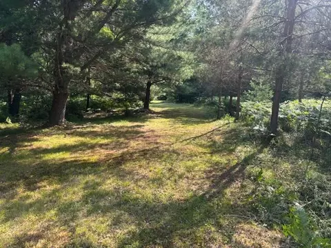 Exterior - 4222 N Spruce Ave, White Cloud, MI 49349 photo 9 of 9