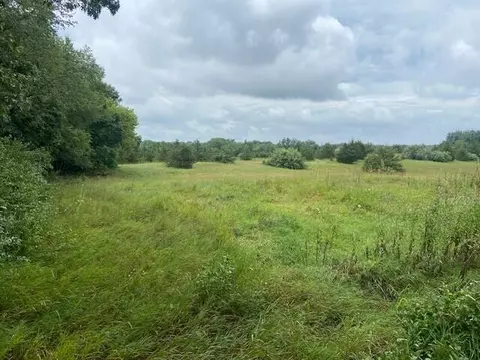 0 Phal, Grass Lake, MI 49240