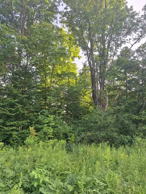 00 14 Mile Rd, Leroy, MI 49655