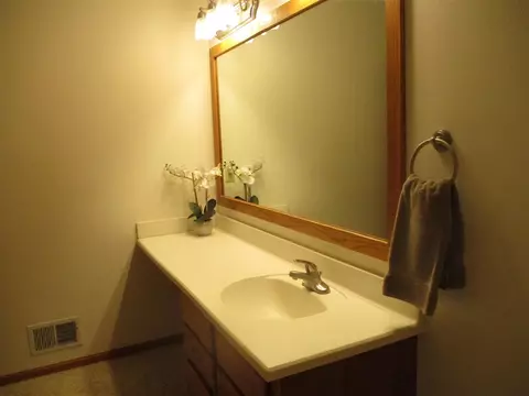 715 Fieldview, Grand Ledge, MI 48837 photo 9