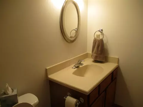 715 Fieldview, Grand Ledge, MI 48837 photo 22