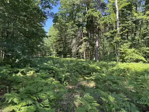 Arquilla Creek, Harrietta, MI 49638