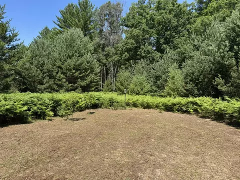 N Coates, Harrietta, MI 49638 photo 2