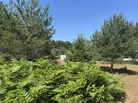 N Coates, Harrietta, MI 49638 photo 5