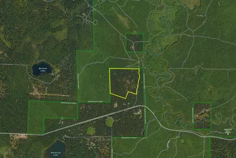 View/Area - 3985 Indian Trl, Custer, MI 49405 photo 2 of 2