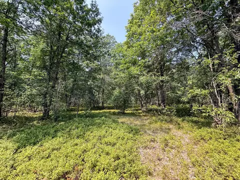 Exterior - 3985 Indian Trl, Custer, MI 49405 photo 17 of 21