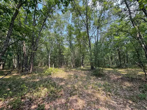 Exterior - 3985 Indian Trl, Custer, MI 49405 photo 13 of 21