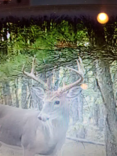 Other - 3985 Indian Trl, Custer, MI 49405 photo 6 of 24