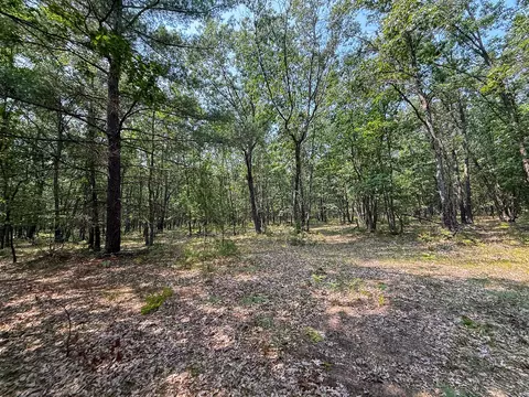Exterior - 3985 Indian Trl, Custer, MI 49405 photo 20 of 21