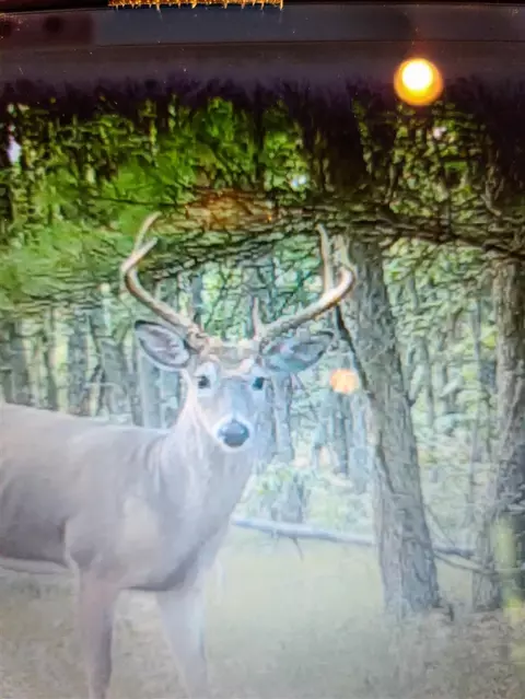 Other - 3985 Indian Trl, Custer, MI 49405 photo 14 of 24