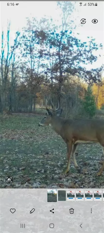 Other - 3985 Indian Trl, Custer, MI 49405 photo 13 of 24