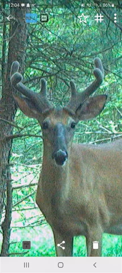 Other - 3985 Indian Trl, Custer, MI 49405 photo 21 of 24