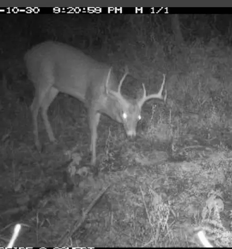 Other - 3985 Indian Trl, Custer, MI 49405 photo 11 of 24