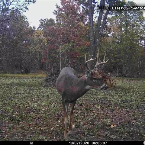 Other - 3985 Indian Trl, Custer, MI 49405 photo 8 of 24